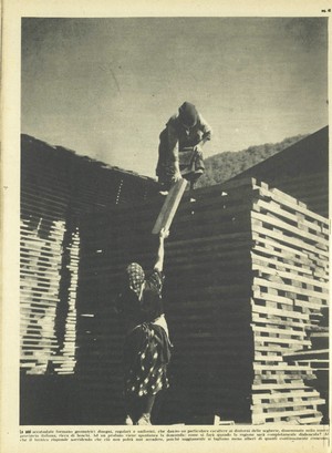 Tempo. Settimanale d'attualità, 24 luglio 1941, p. 40