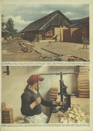 Tempo. Settimanale d'attualità, 24 luglio 1941, p. 41
